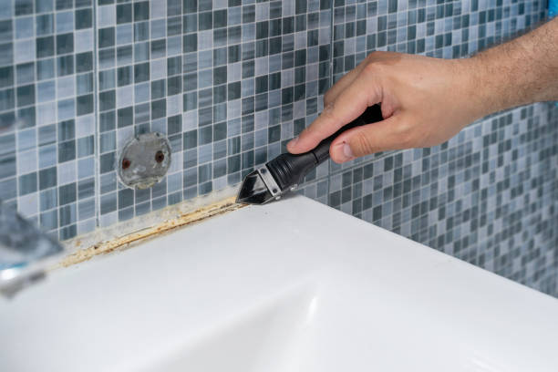 Best Local Mold Removal Service  in Roanoke, IL